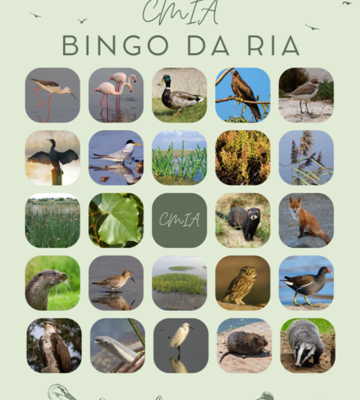 bingo_da_ria_1