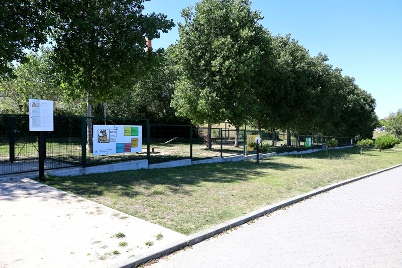 Parque Canino Forca
